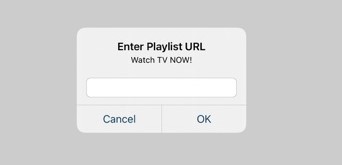 Enter Beyond Streamz IPTV playlist URL